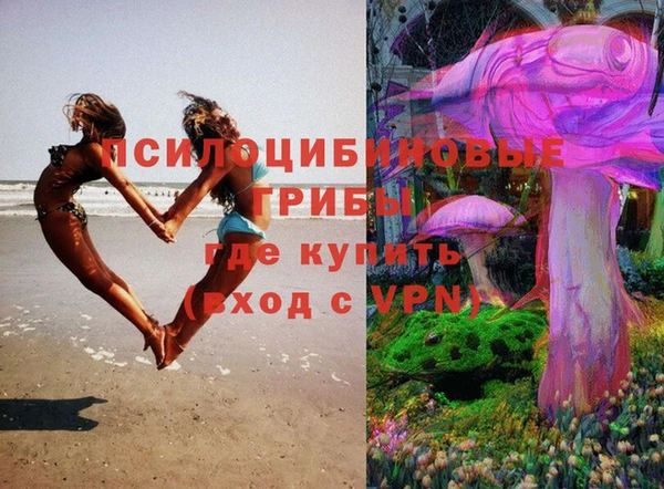 индика Алексин
