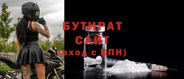 индика Алексин