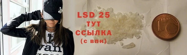 индика Алексин