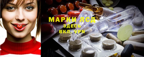 индика Алексин