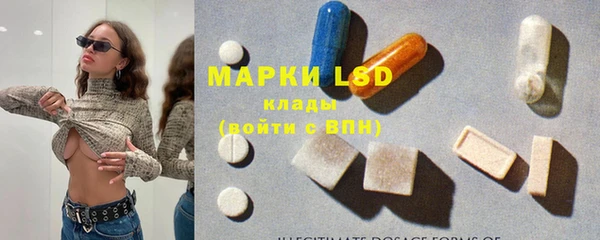 индика Алексин