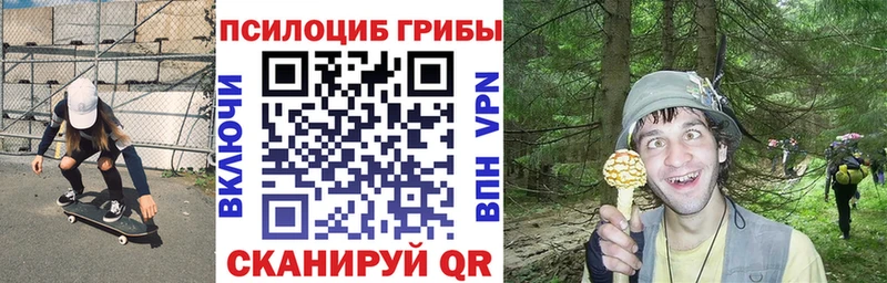 Псилоцибиновые грибы GOLDEN TEACHER  ОМГ ОМГ зеркало  Мещовск 